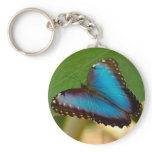 Blue Morpho Butterfly keychain