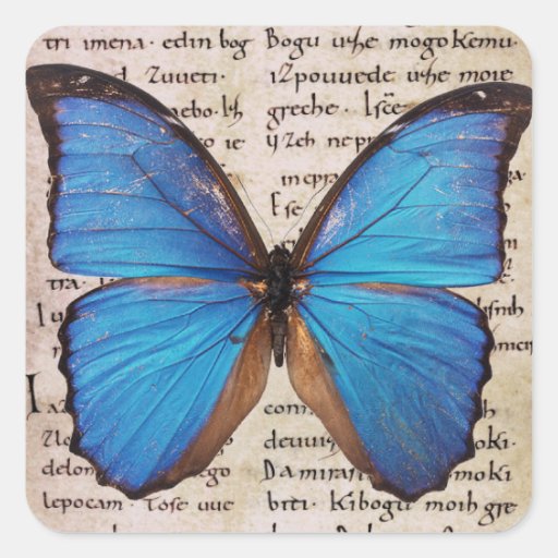 Blue Morpho Butterfly on Book Page Nature Stickers Zazzle