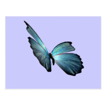 Blue Morpho Butterfly Post Card