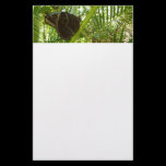 Blue Morpho Butterfly Stationery