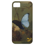 Blue Morpho  Butterfly Vintage iPhone 5 Case iPhone 5 Cases