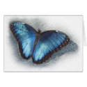 Blue Morpho cards