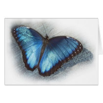 Blue Morpho cards by pshaw_photo Blue Morpho cards
