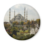 Blue Mosque magnets