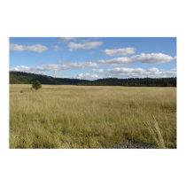 Blue Mountain Prairie posters