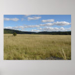 Blue Mountain Prairie posters