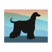 Blue Mountains Afghan Hound Postcard