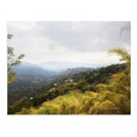 Blue Mountains over looking Kingston Post Cards