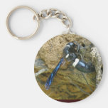 Blue Mud Dauber Wasp Keychains