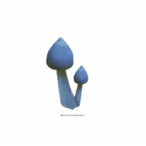 Blue Mushrooms Sculpture photo sculptures