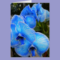 Blue Mystique Orchid Card (blank) cards