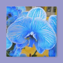 Blue Mystique Orchid Magnet magnets