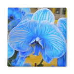 Blue Mystique Orchid Magnet Blue Mystique Orchid Magnet