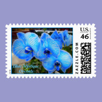 Blue Mystique Orchid Postage stamps