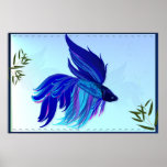 Blue 'n' White Siamese Fighting Fish Posters