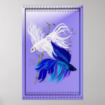 Blue 'n' White Siamese Fighting Fish small Poster