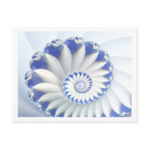 Blue Nautilus postcards