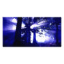 Blue Night Trees Photo Cards