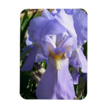 Blue-on-Blue Premium Magnet