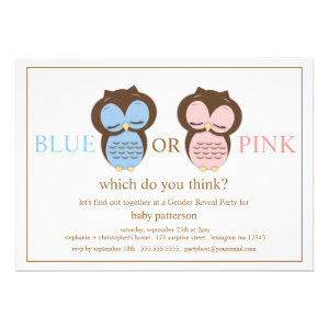 Blue or PInk Little Owls Baby Gender Reveal Party Custom Announcements