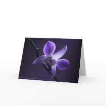 Blue Orchid cards