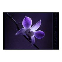 Blue Orchid posters by bjodo1 Blue Orchid posters