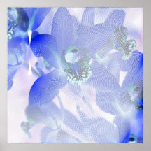 Blue Orchids April 2013 Poster