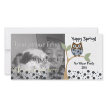 Blue Owl Baby Photo Cards