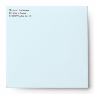 Blue Owl Baby Shower Envelopes envelope