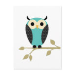Blue Owl On Limb Post Card