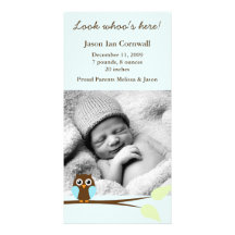 Blue Owl Photo Birth Announcements Photo Card