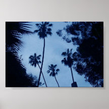 Blue Palms Poster
