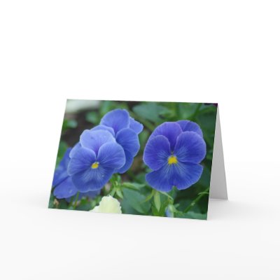 Blue Pansies Greeting Card by smilodonart