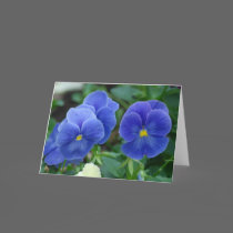 Blue Pansies Greeting Card cards