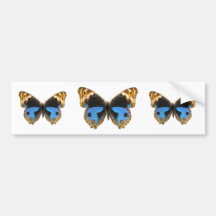 Blue Pansy Butterfly Bumper Sticker