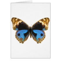 Blue Pansy Butterfly Card
