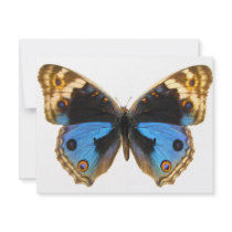 Blue Pansy Butterfly Personalized Invites