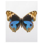 Blue Pansy Butterfly Customized Letterhead