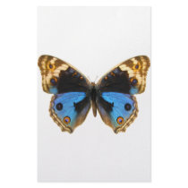 Blue Pansy Butterfly Custom Stationery
