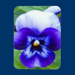 Blue Pansy Premium Magnet magnets