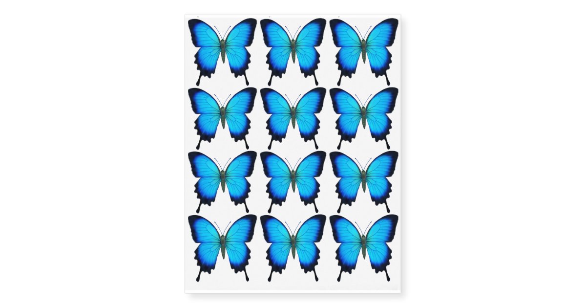 blue papilio ulysses butterfly temporary tattoo zazzle blue papilio ulysses butterfly temporary tattoo zazzle