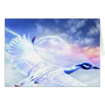 Blue Paradise Egret Bird cards