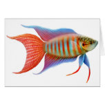 Blue Paradise Fish Card