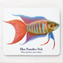 Blue Paradise Fish Mousepad by twopurringcats Blue Paradise Fish Mousepad