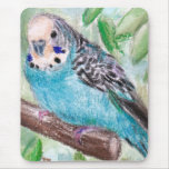 Blue Parakeet Mousepad Blue Parakeet Mousepad