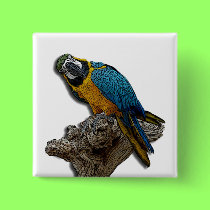 Blue Parrot alone button buttons
