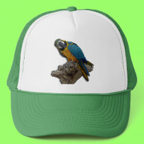 Blue Parrot alone hat