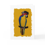 Blue Parrot Cards