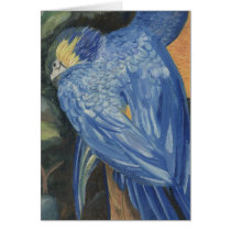 blue parrot cards