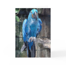 Blue parrot(card) by nefera Blue parrot(card)